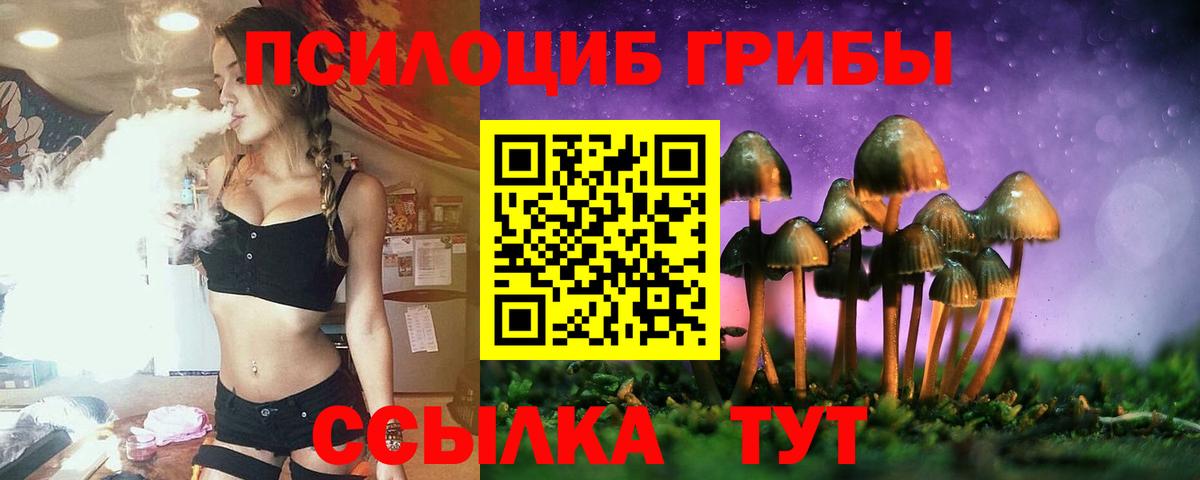 Галлюциногенные грибы мицелий  Вход с VPN  Сибай 